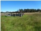 L49 Stabiles Road, Severnlea, Stanthorpe QLD 4380
