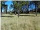 L49 Stabiles Road, Severnlea, Stanthorpe QLD 4380