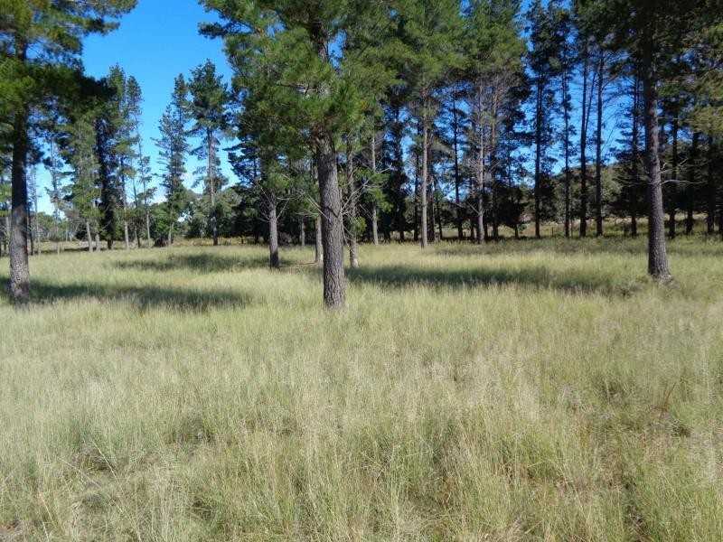 L49 Stabiles Road, Severnlea, Stanthorpe QLD 4380