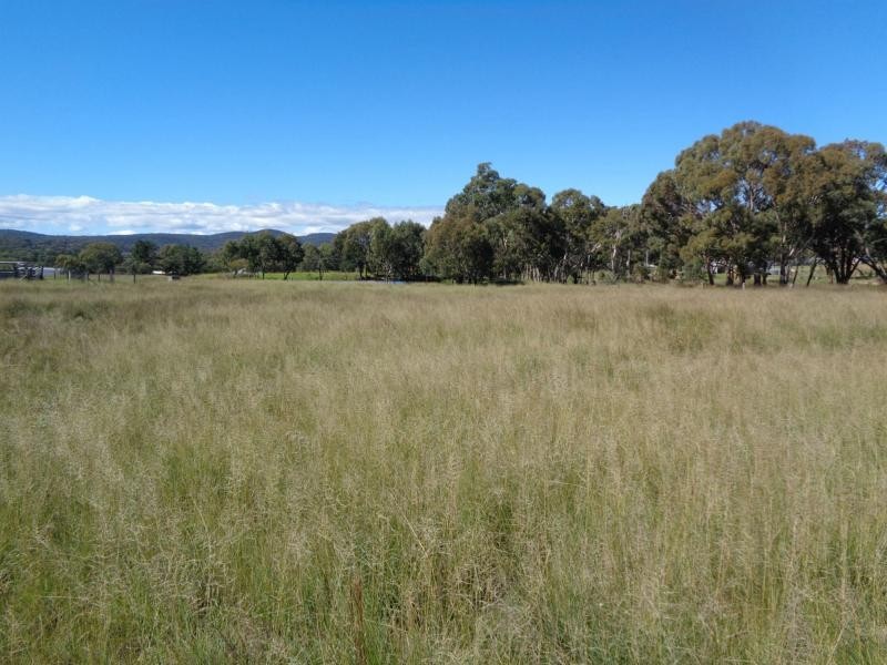 L49 Stabiles Road, Severnlea, Stanthorpe QLD 4380
