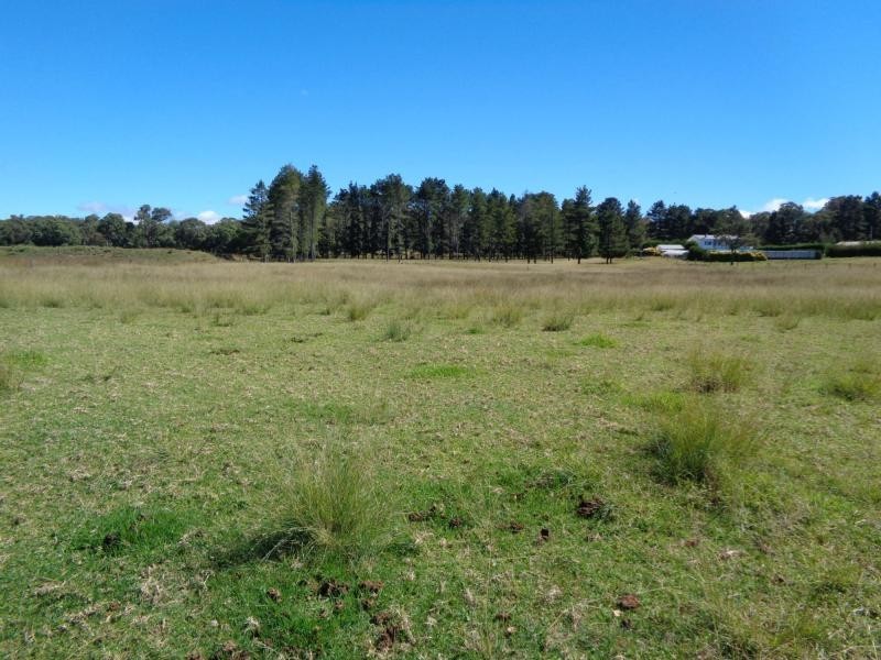 L49 Stabiles Road, Severnlea, Stanthorpe QLD 4380