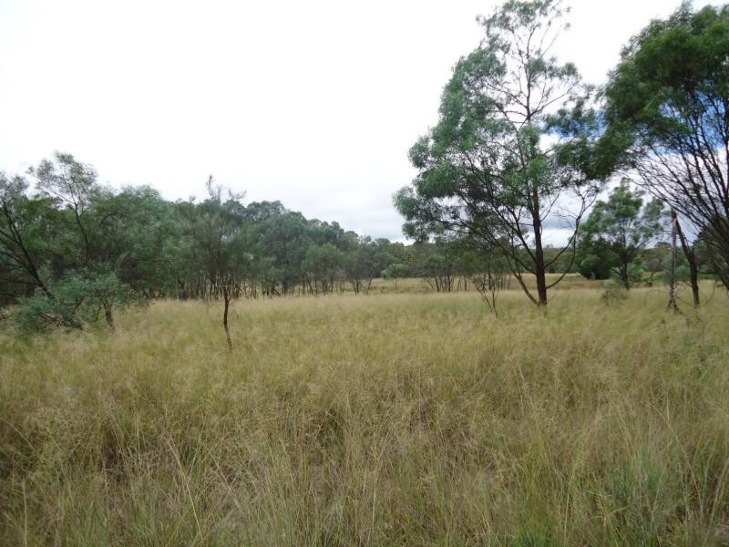 729 Bents Road, Ballandean, Stanthorpe QLD 4380