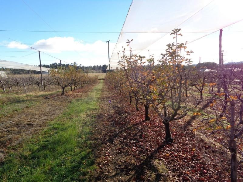 64 Reid Road, Stanthorpe QLD 4380