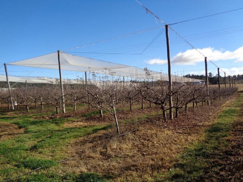 64 Reid Road, Stanthorpe QLD 4380