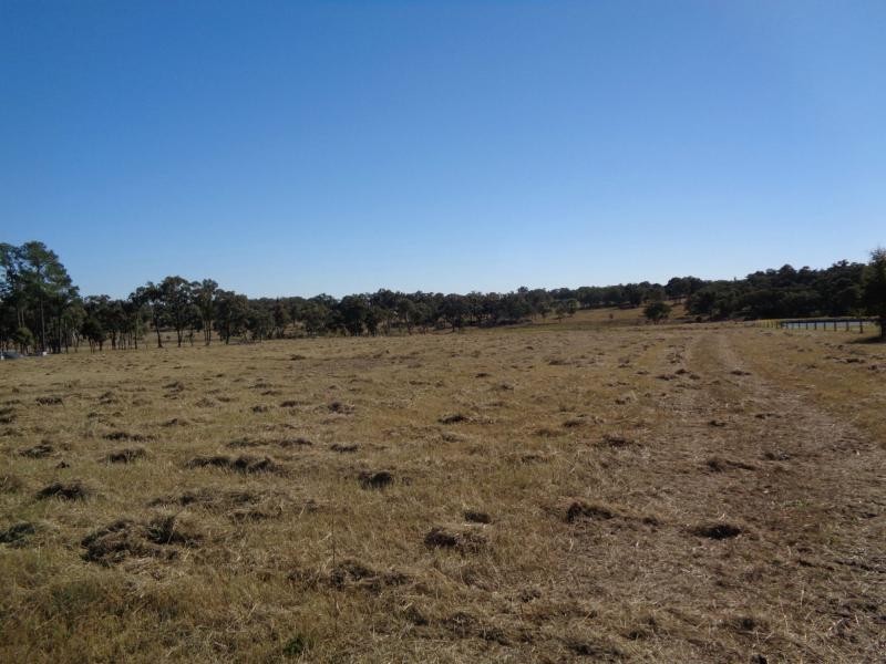 65 Cavallaro Lane, Glen Aplin QLD 4381