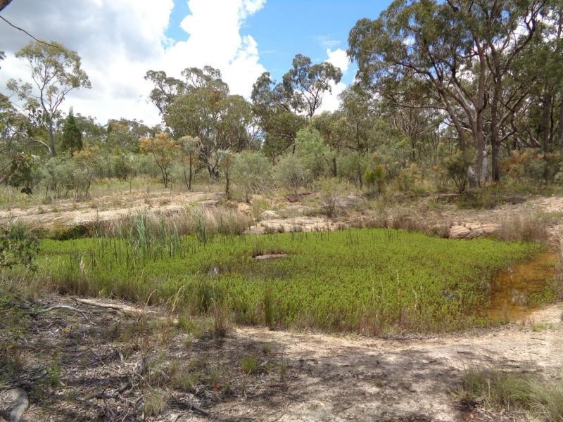 Stanthorpe QLD 4380