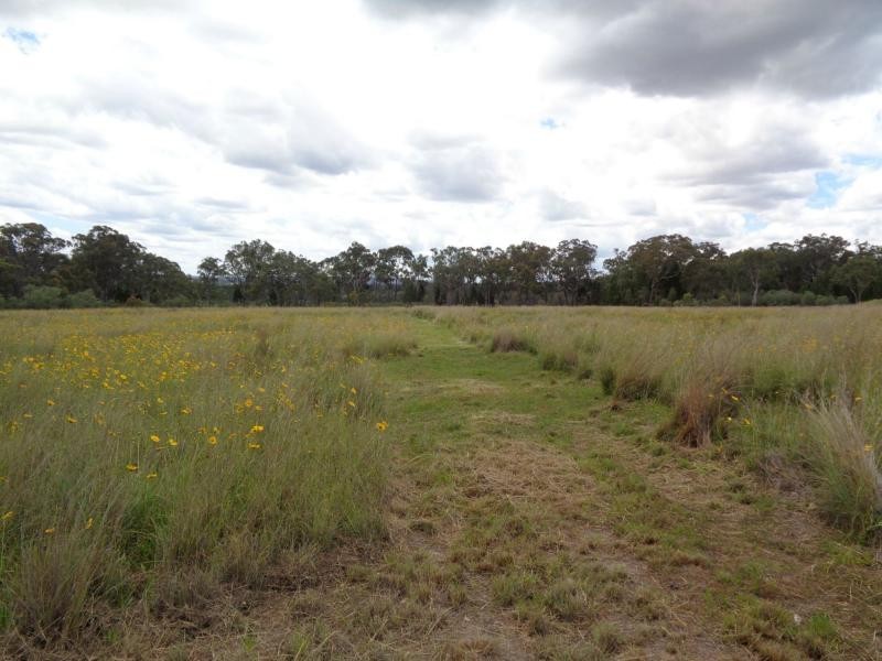 Stanthorpe QLD 4380
