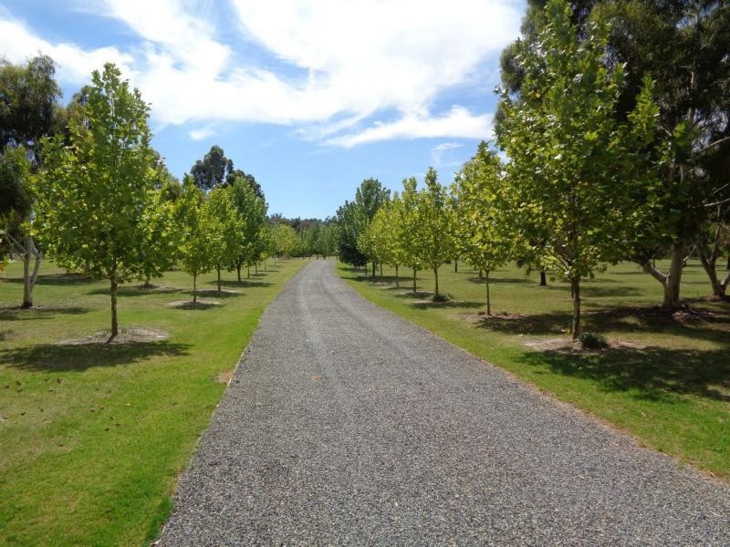 690 Spring Creek Road, Amiens QLD 4380