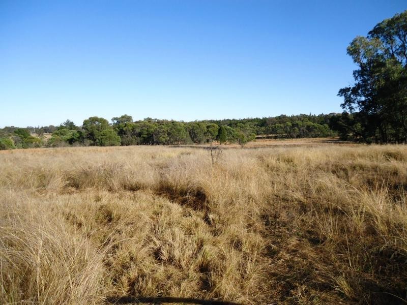 130 Browns Lane, Greenlands, Stanthorpe QLD 4380