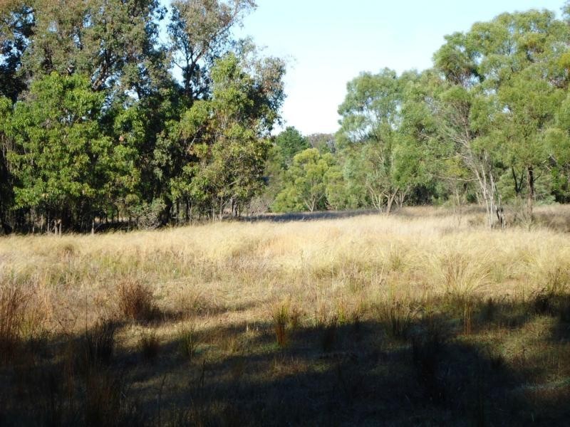 130 Browns Lane, Greenlands, Stanthorpe QLD 4380