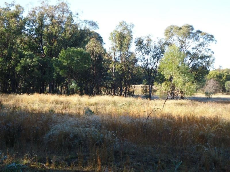 130 Browns Lane, Greenlands, Stanthorpe QLD 4380