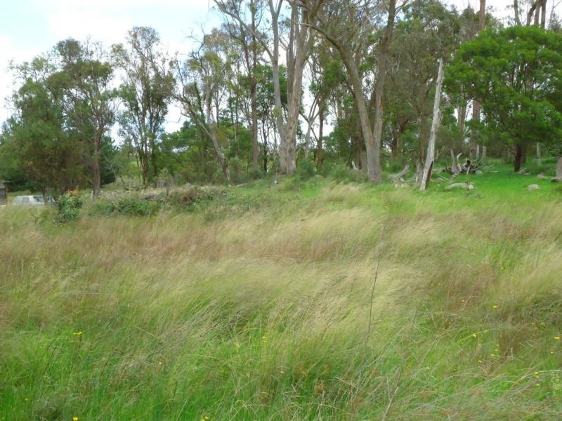 97 Matthews Lane, The Summit, Stanthorpe QLD 4380