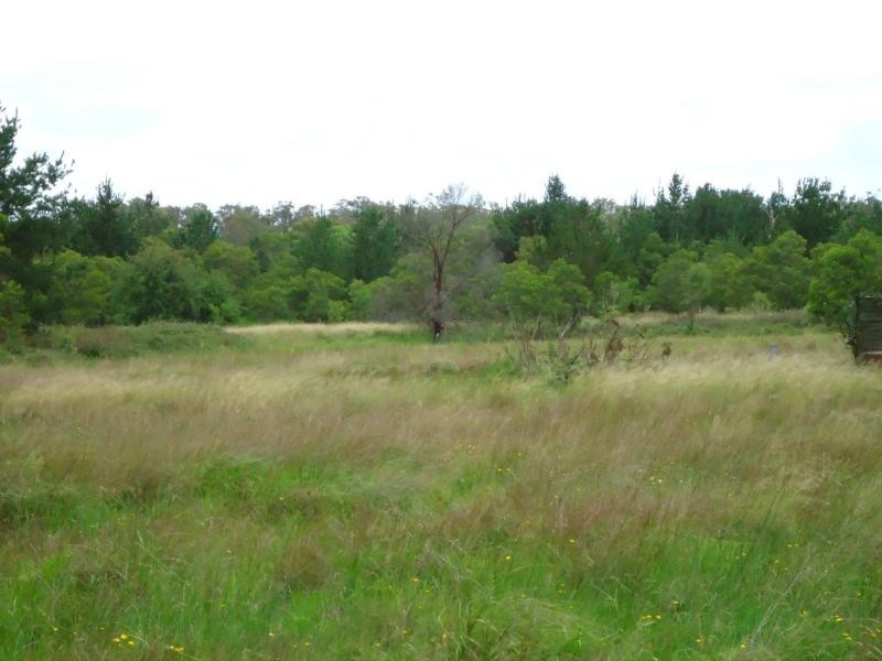 97 Matthews Lane, The Summit, Stanthorpe QLD 4380