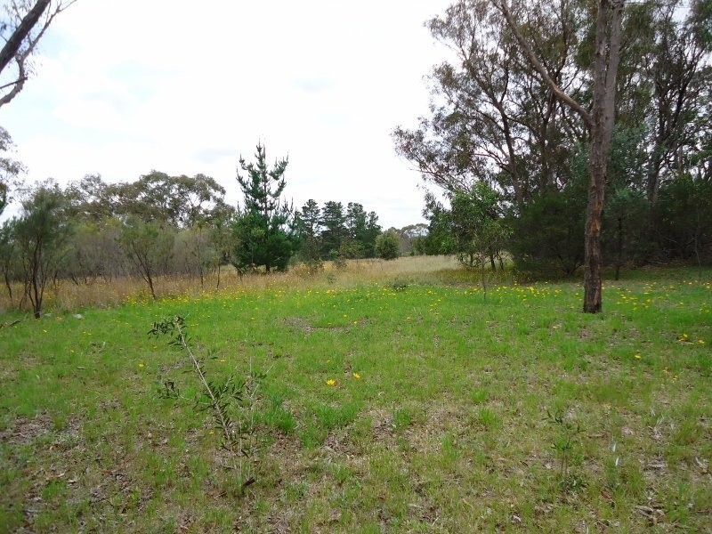 214 Dalcouth Road, Dalcouth, Stanthorpe QLD 4380