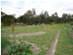 214 Dalcouth Road, Dalcouth, Stanthorpe QLD 4380