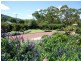61A Greenup Street, Stanthorpe QLD 4380