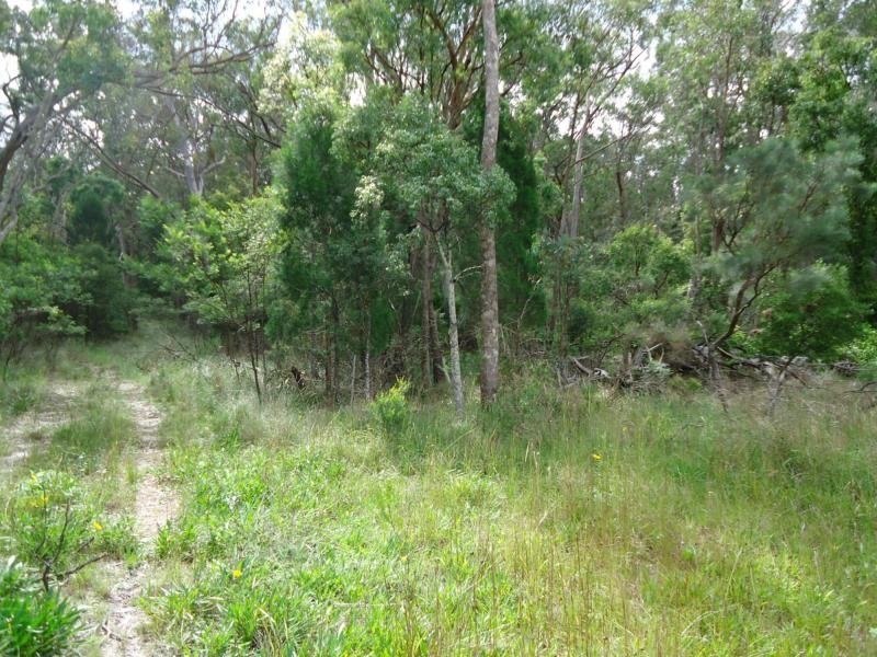 177 Robertson Road, Amiens, Stanthorpe QLD 4380