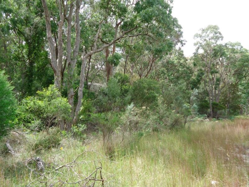 177 Robertson Road, Amiens, Stanthorpe QLD 4380
