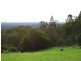 31 Moss Court, Stanthorpe QLD 4380