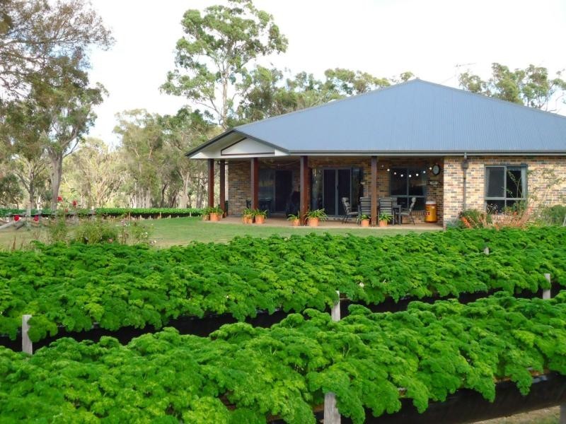 586 Texas Road, Broadwater, Stanthorpe QLD 4380