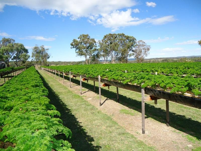 586 Texas Road, Broadwater, Stanthorpe QLD 4380