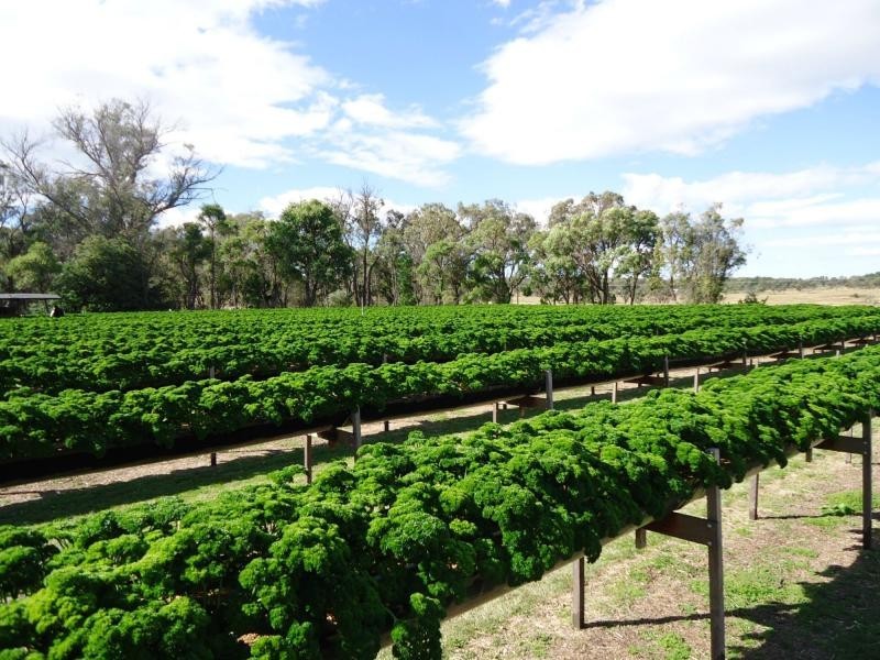 586 Texas Road, Broadwater, Stanthorpe QLD 4380