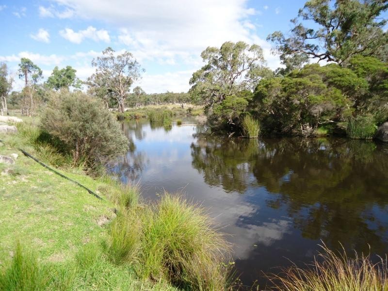 586 Texas Road, Broadwater, Stanthorpe QLD 4380