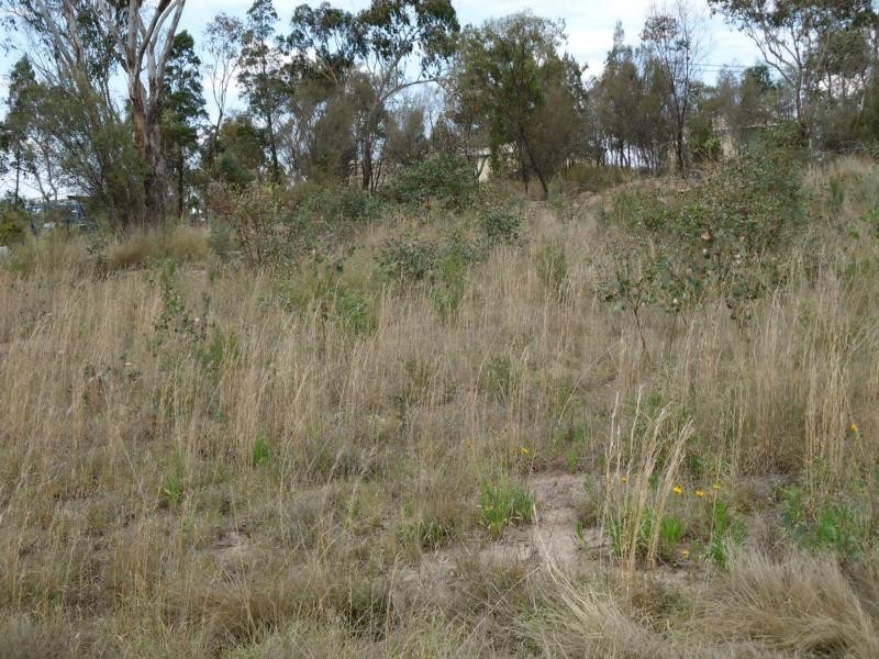 L51 Sanderson Road, Glen Aplin, Stanthorpe QLD 4380