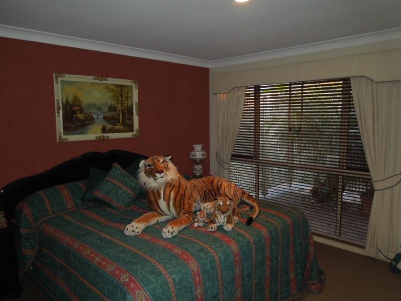 Springfield QLD 4300