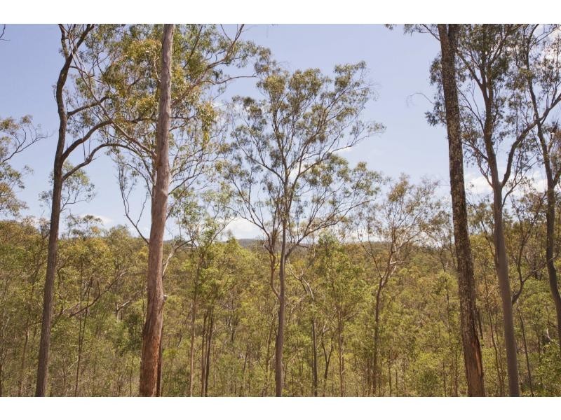 19 Lilly Pilly Road, Pullenvale QLD 4069