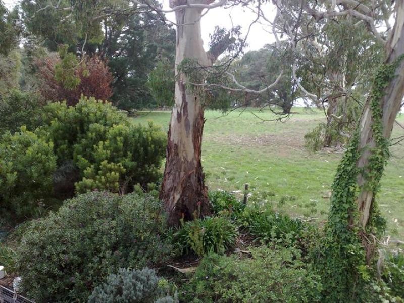 51 Woodside Road, Lobethal SA 5241