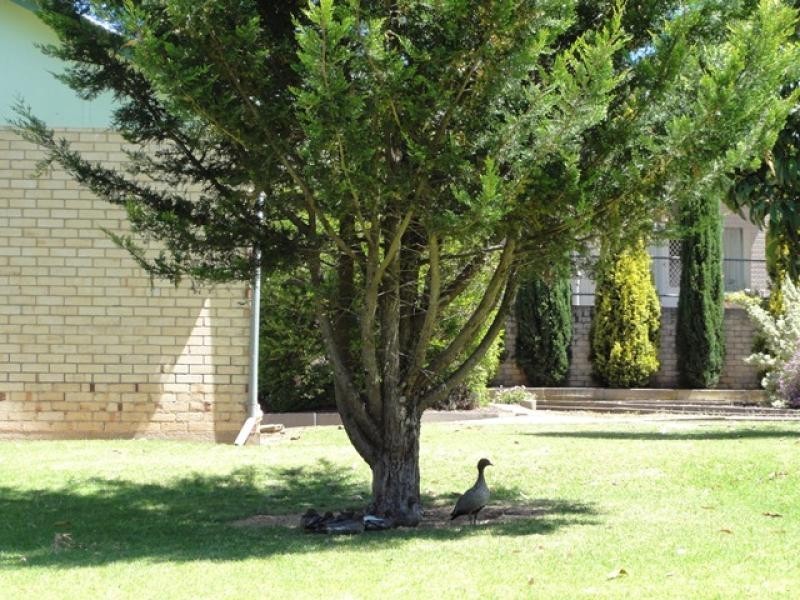 113 Old Princes Highway, Nairne SA 5252