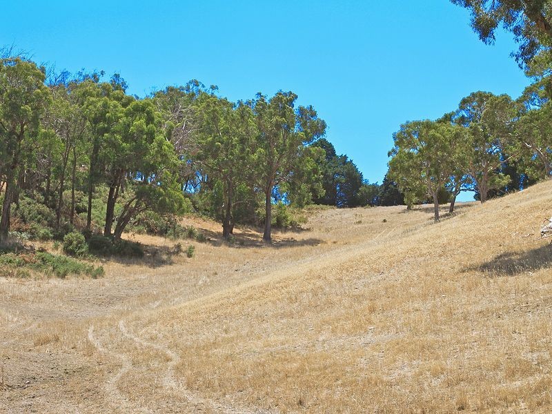 80 Cleggett Road, Littlehampton SA 5250