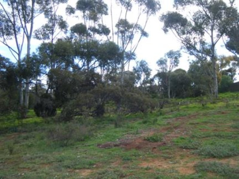 122 Rocky Gully Road, Murray Bridge SA 5253