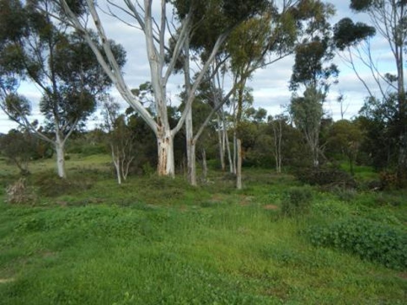 122 Rocky Gully Road, Murray Bridge SA 5253