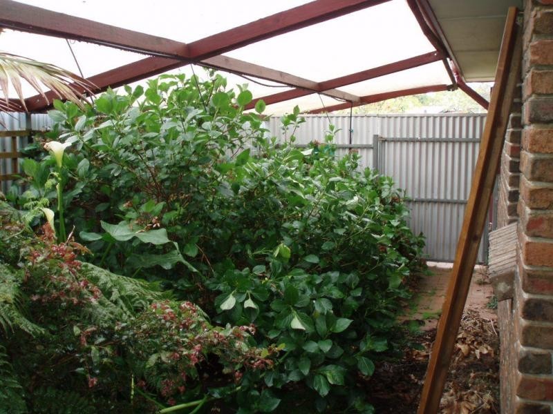 18 Matthew Smillie Drive, Nairne SA 5252