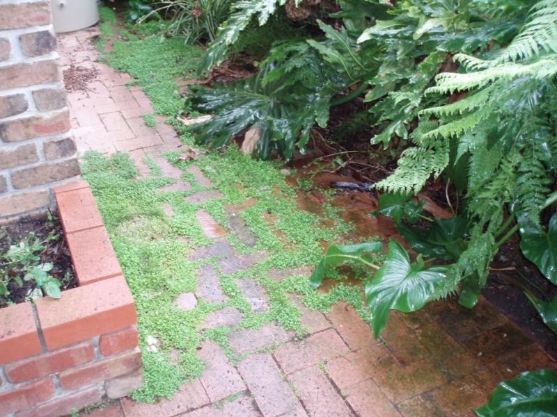 18 Matthew Smillie Drive, Nairne SA 5252