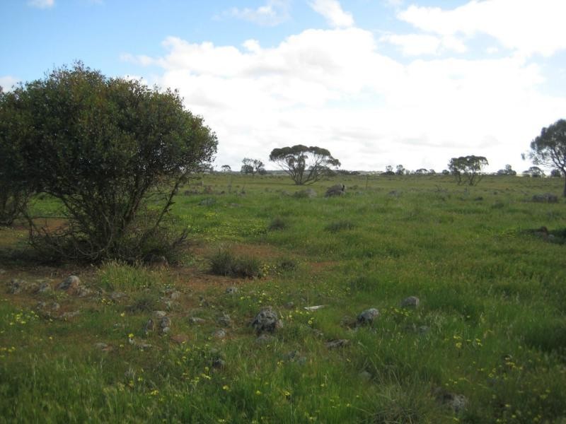 L7/62 Gogel Road, Rockleigh SA 5254