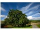 10 Bald Hill Rd (via Meadows), Bull Creek SA 5157
