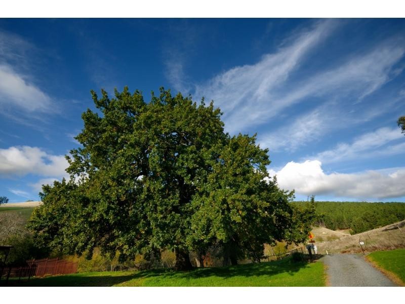 10 Bald Hill Rd (via Meadows), Bull Creek SA 5157