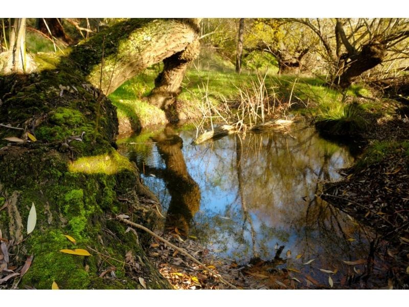 10 Bald Hill Rd (via Meadows), Bull Creek SA 5157