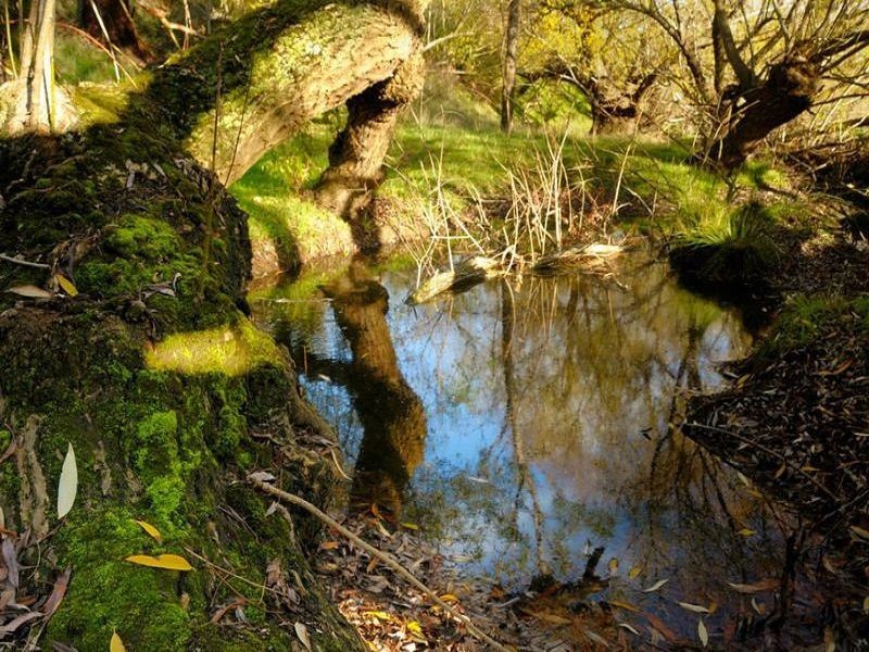 10 Bald Hill Road, Bull Creek SA 5157