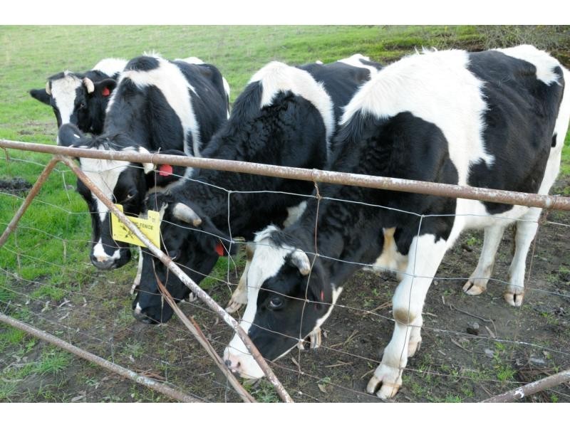 10 Bald Hill Road, Bull Creek SA 5157