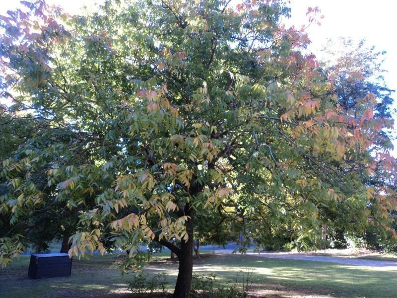 9 Fox Hill Road, Mount George SA 5155