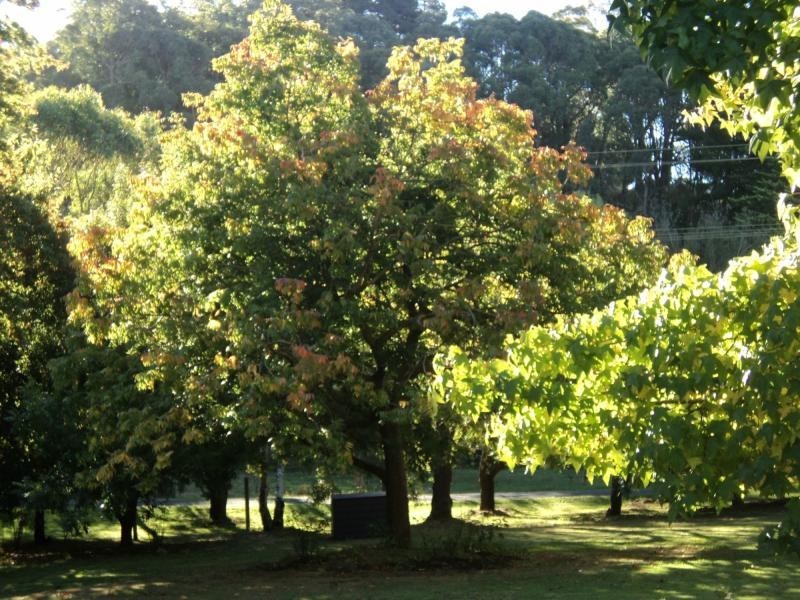 9 Fox Hill Road, Mount George SA 5155