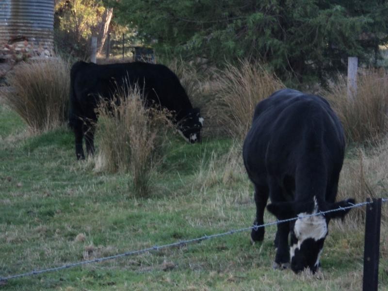 9 Fox Hill Road, Mount George SA 5155