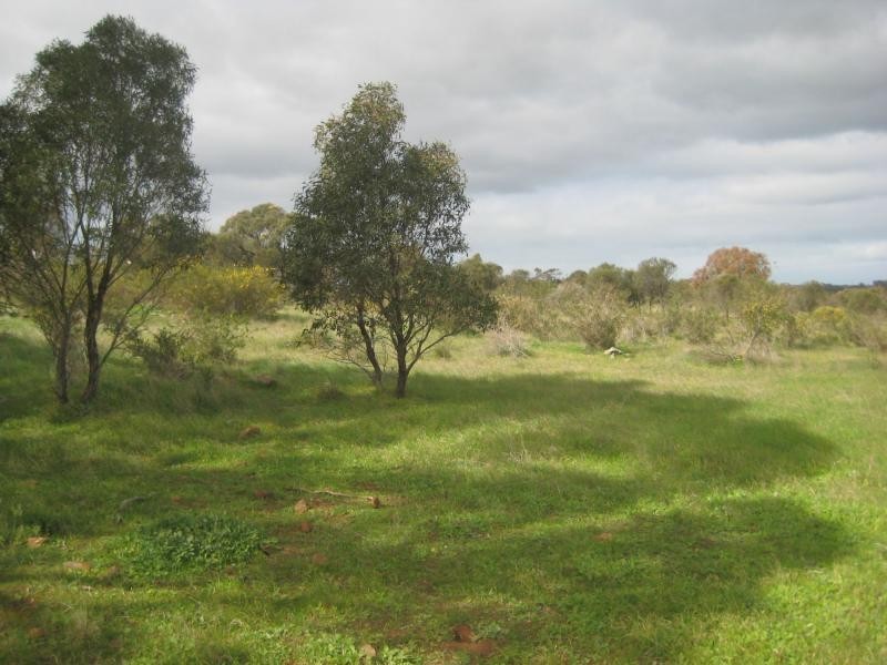 Lot 96 Anders Road, Rockleigh SA 5254