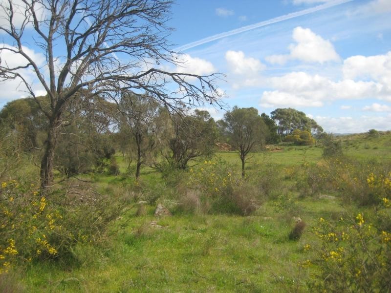 Lot 96 Anders Road, Rockleigh SA 5254