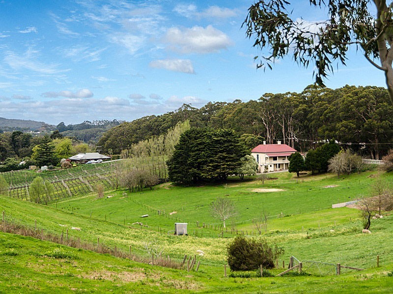 1035 Greenhill Road, Summertown SA 5141