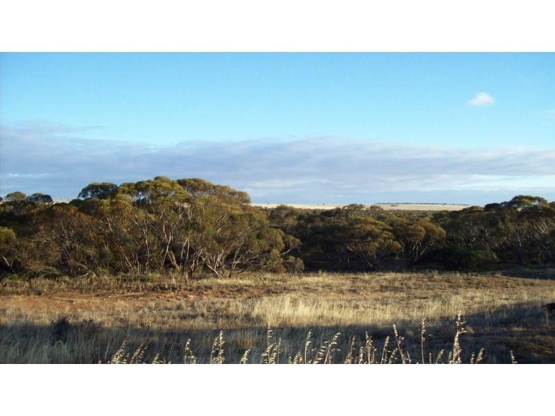Lot 103 Jackson Rd, Ettrick SA 5253